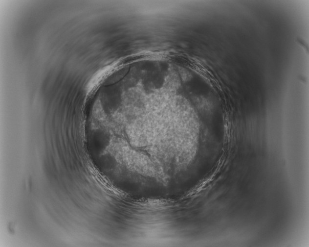 X0000101140149200807251033