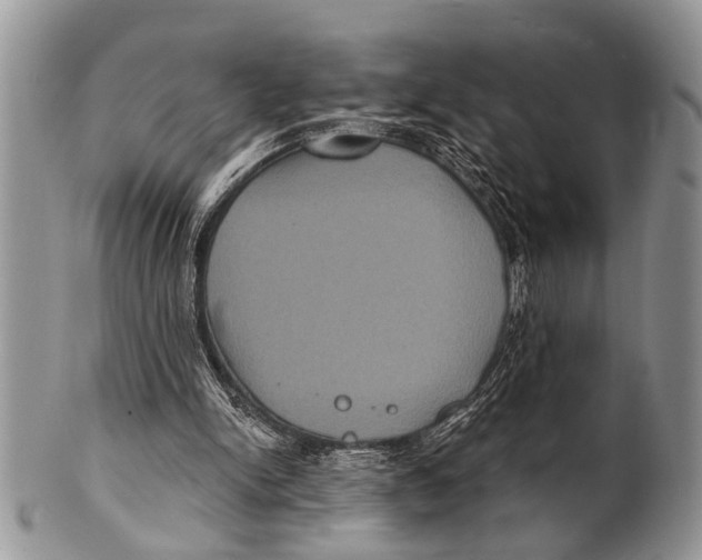 X0000101140150200807251033