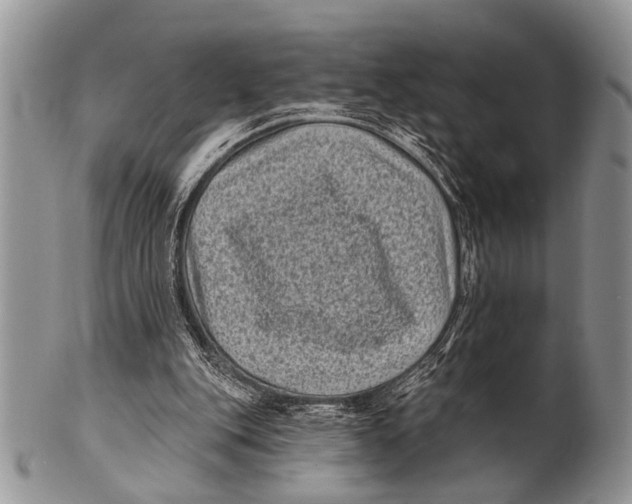 X0000101140151200807251033