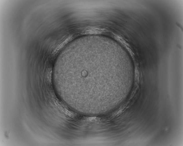 X0000101140153200807251033