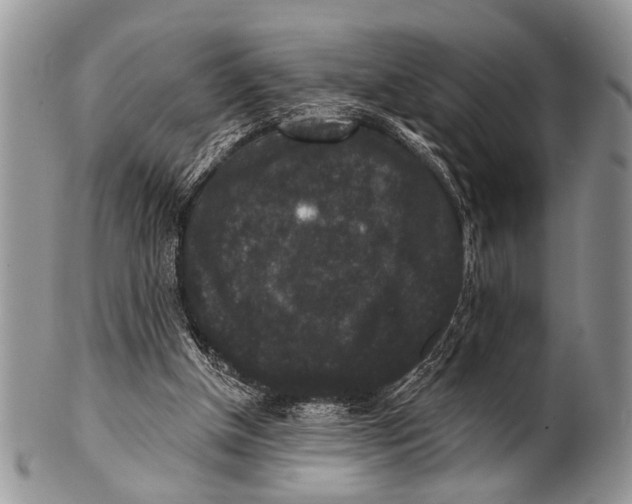 X0000101140154200807251033