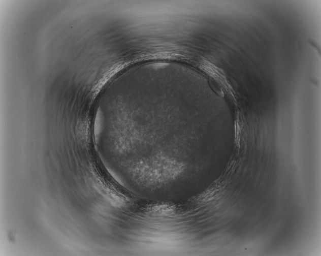 X0000101140156200807251033