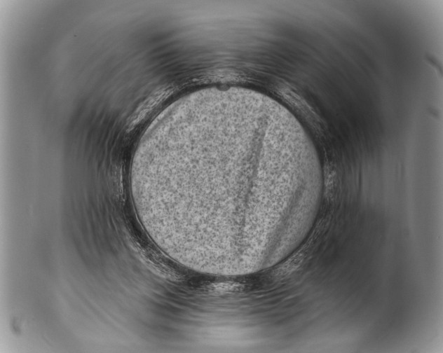 X0000101140158200807251034