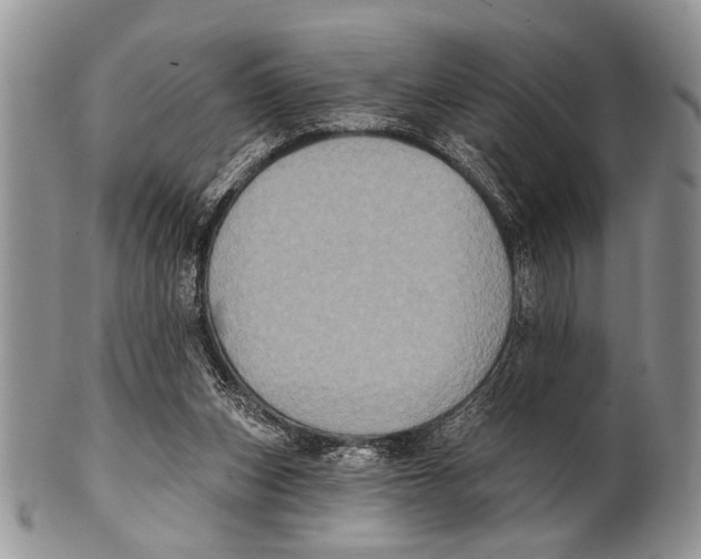 X0000101140159200807251034