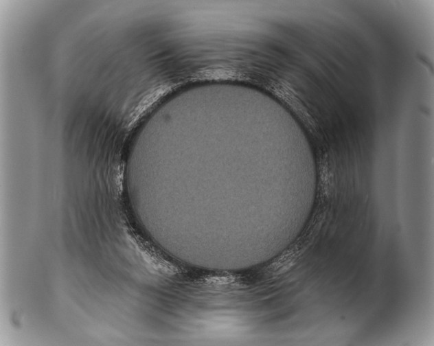 X0000101140160200807251034