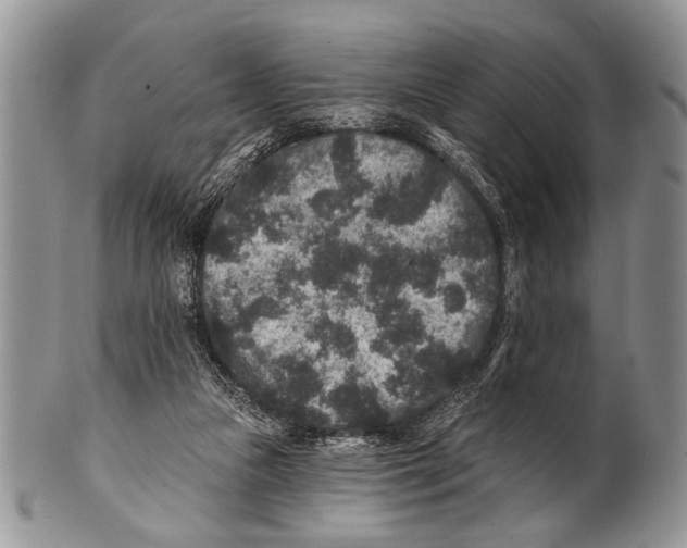 X0000101140161200807251034