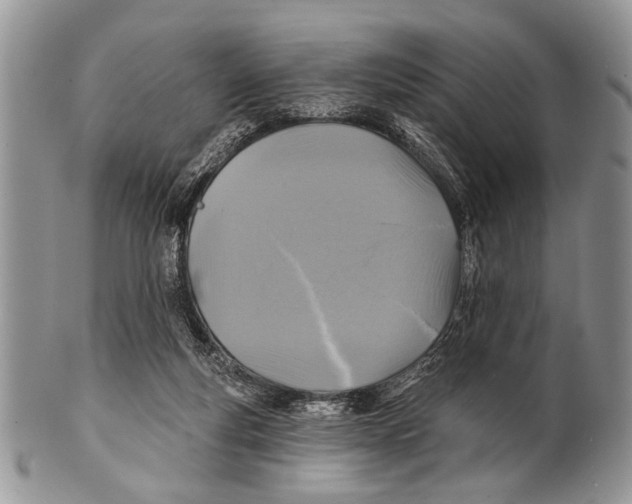 X0000101140163200807251034