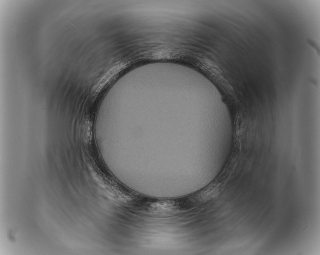 X0000101140164200807251034