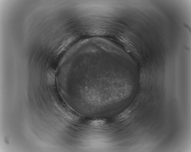 X0000101140168200807251034