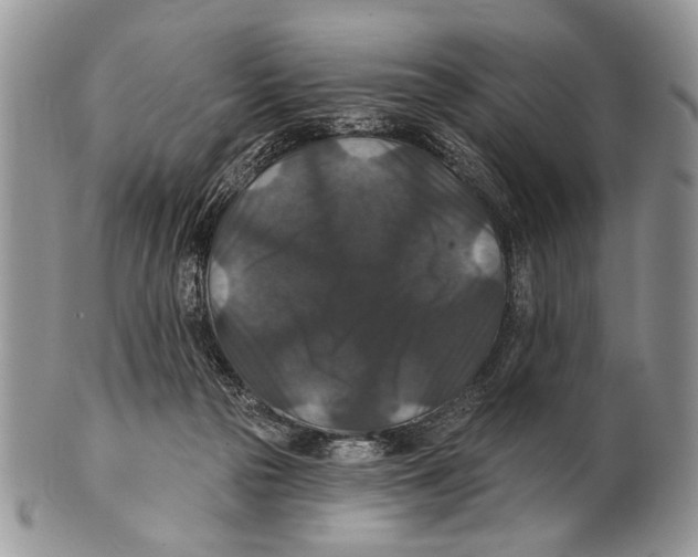 X0000101140169200807251034