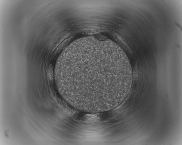 X0000101140170200807251034