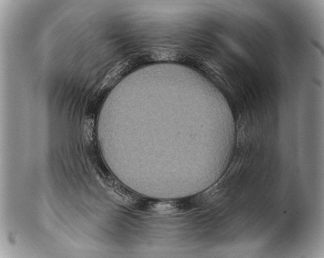 X0000101140171200807251034