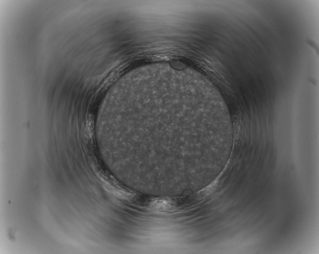 X0000101140174200807251034