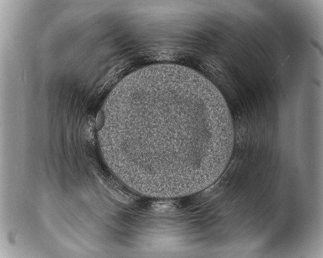 X0000101140175200807251034