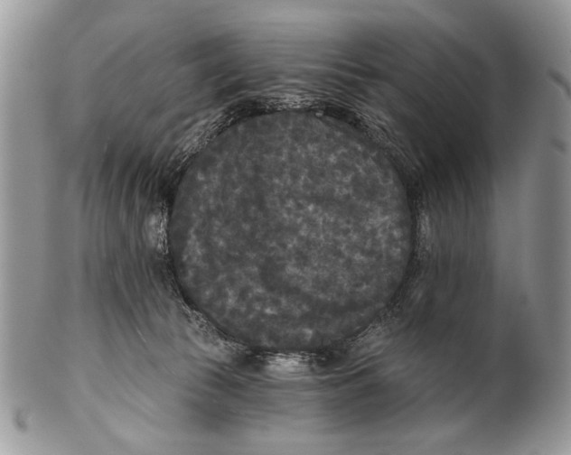 X0000101140177200807251034