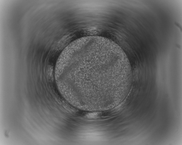 X0000101140178200807251034