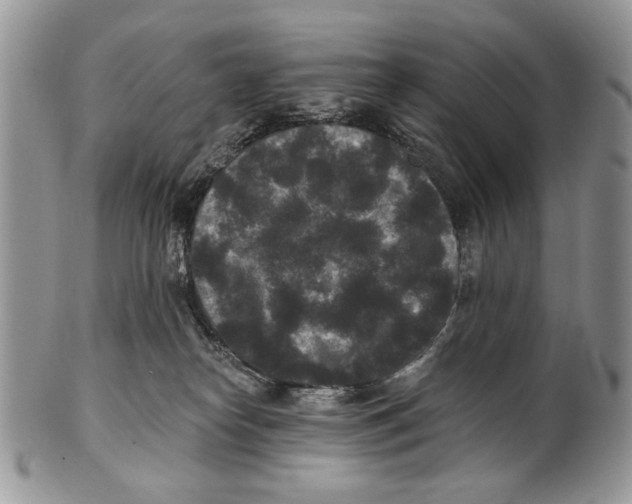 X0000101140182200807251034