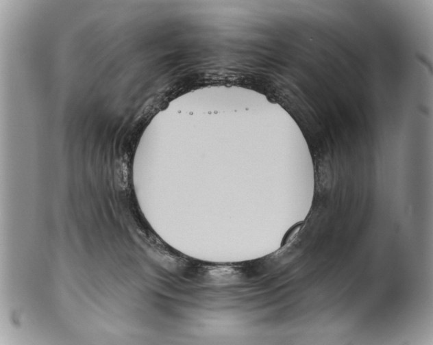 X0000101140183200807251034