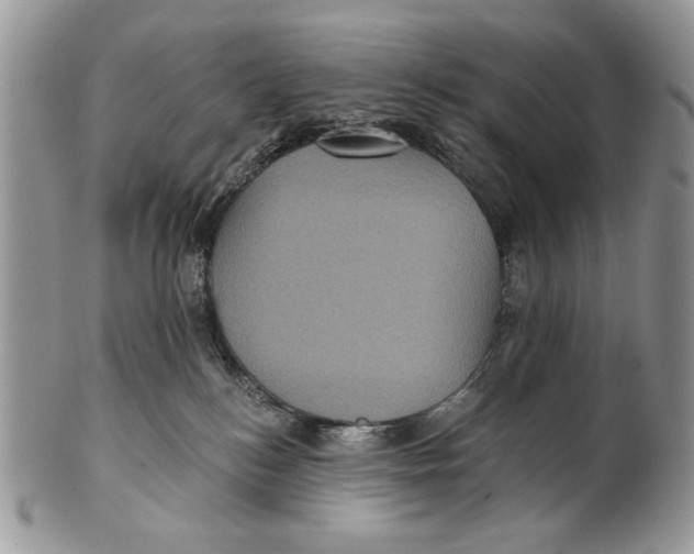 X0000101140184200807251034