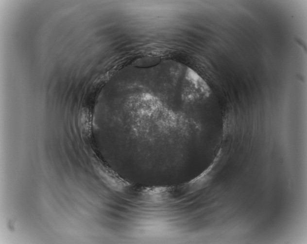 X0000101140186200807251034