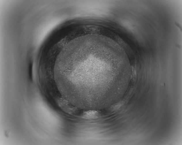 X0000101140189200807251034