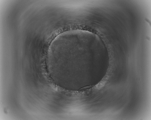 X0000101140192200807251034