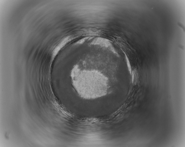 X0000101140195200807251033