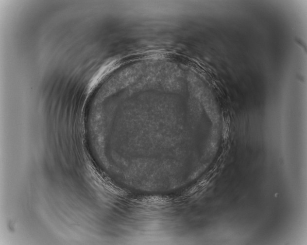 X0000101140198200807251033