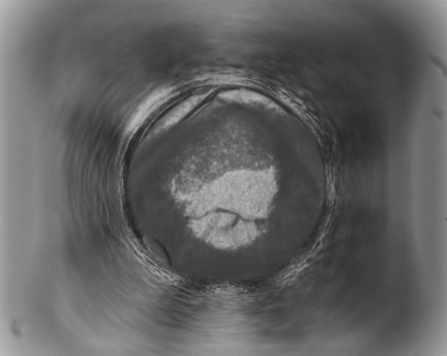 X0000101140199200807251033