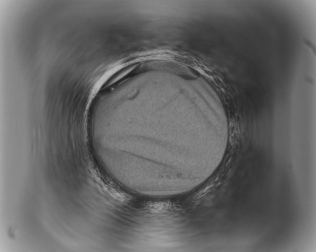 X0000101140200200807251033