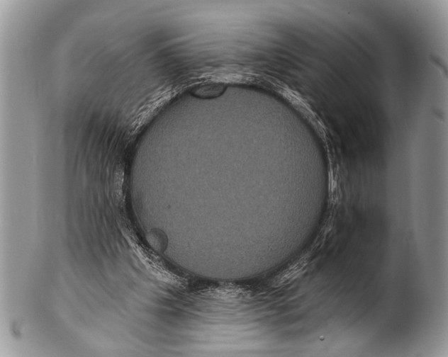 X0000101140201200807251033