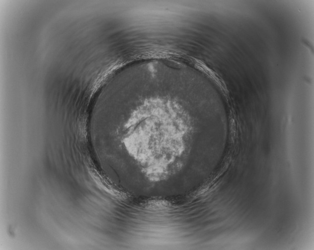 X0000101140203200807251033