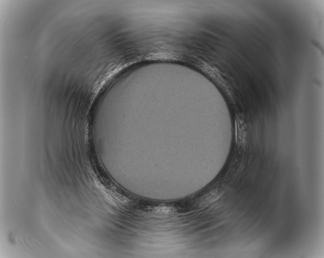 X0000101140204200807251033