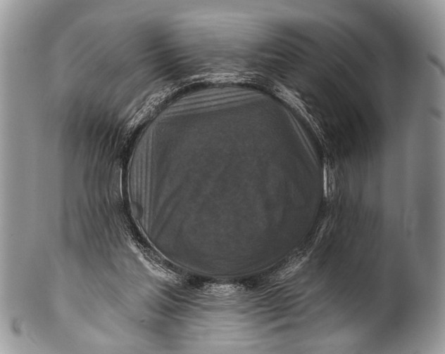 X0000101140205200807251033