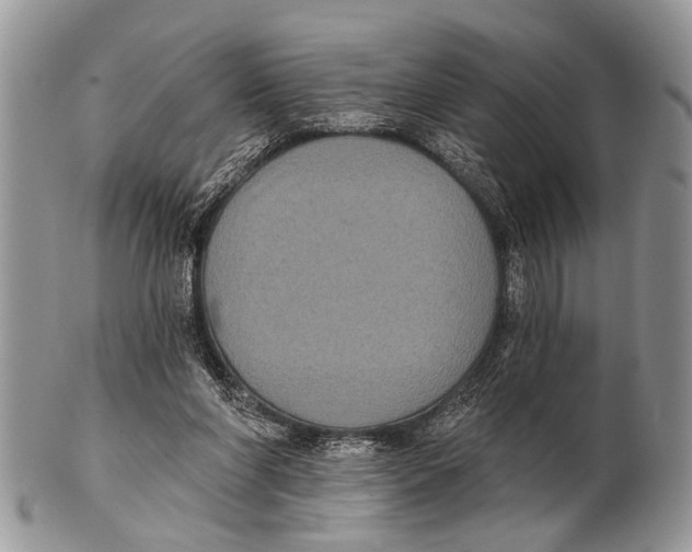 X0000101140206200807251033