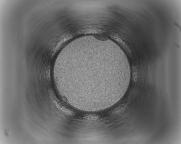 X0000101140207200807251033