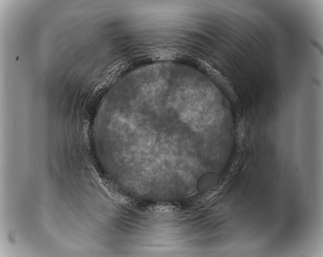 X0000101140209200807251033