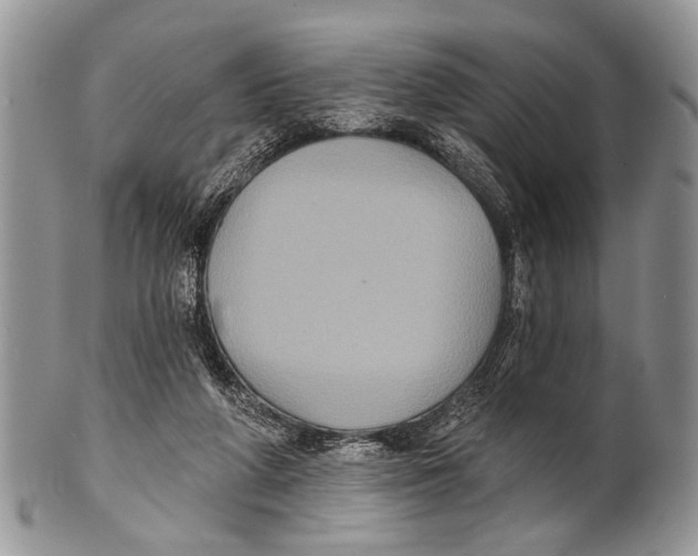 X0000101140210200807251033