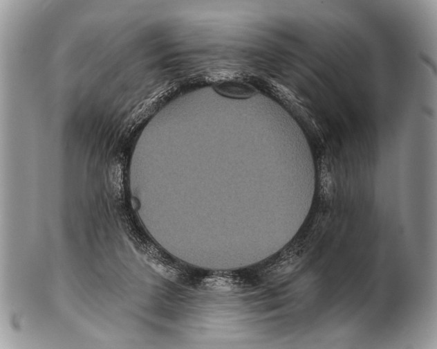 X0000101140211200807251033