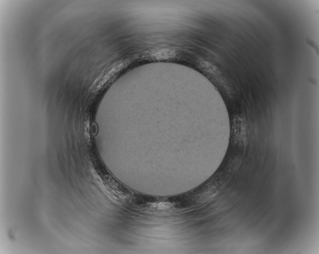 X0000101140212200807251033