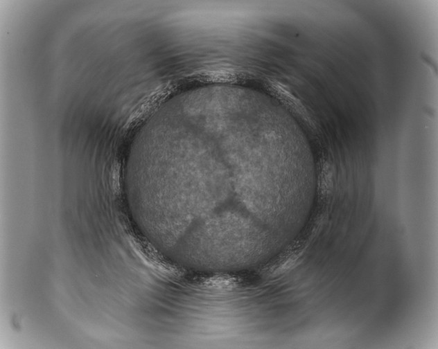 X0000101140213200807251033