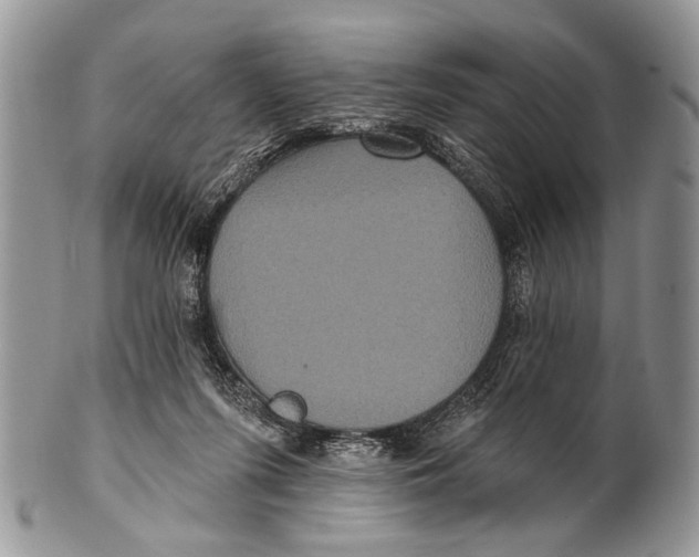 X0000101140215200807251033