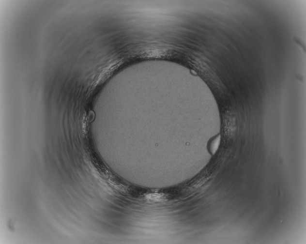 X0000101140216200807251033