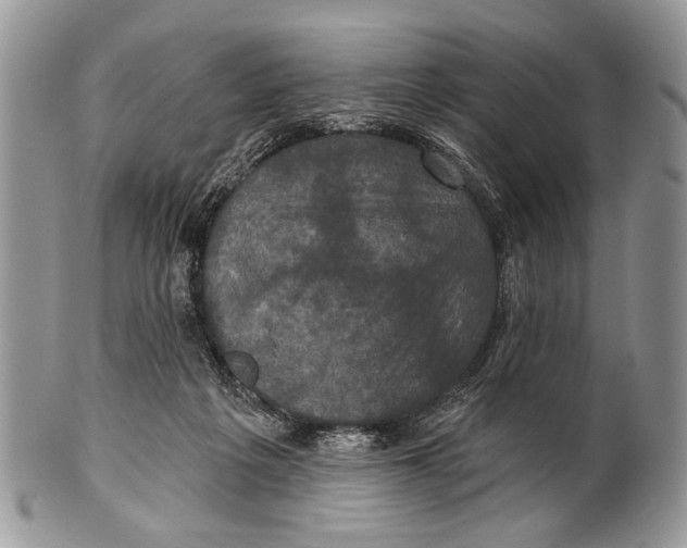 X0000101140217200807251033