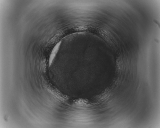 X0000101140223200807251033