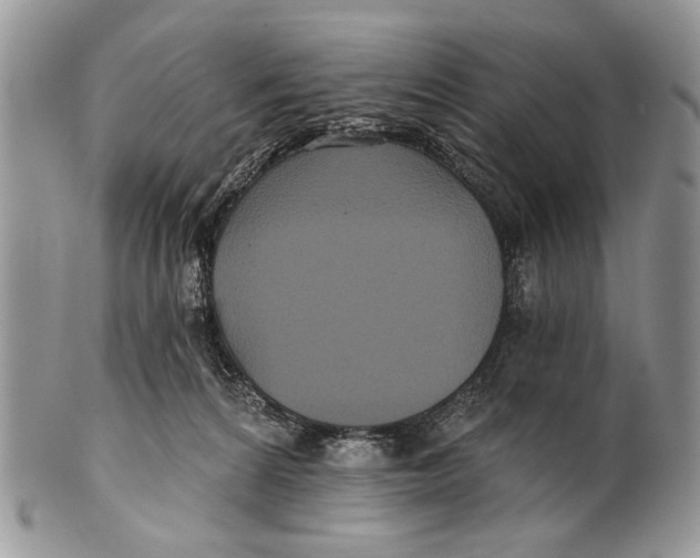 X0000101140224200807251033