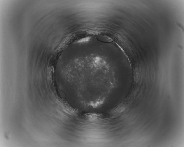 X0000101140229200807251033