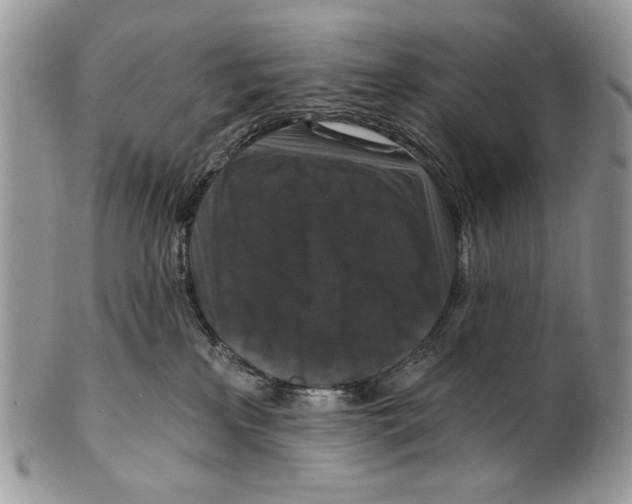 X0000101140233200807251033