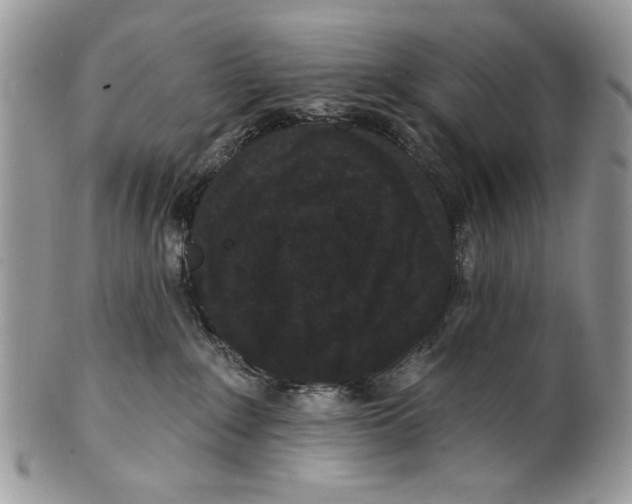 X0000101140235200807251033