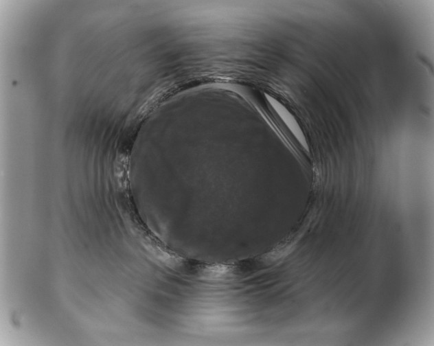 X0000101140237200807251033